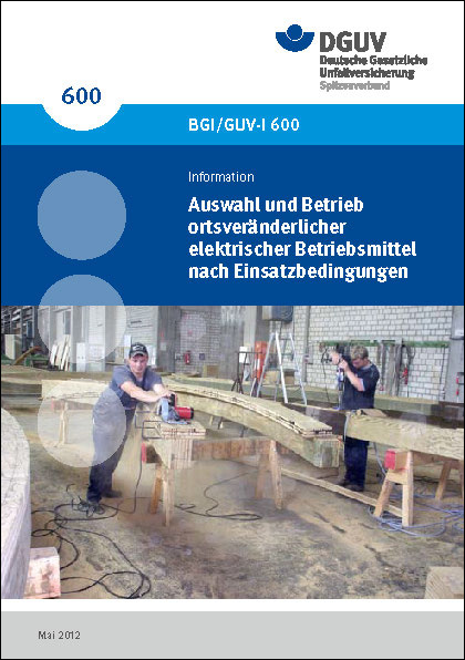 Trade association information BGI 600 (German version)