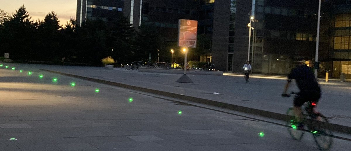 LED Lichter in einem Park eingebaut