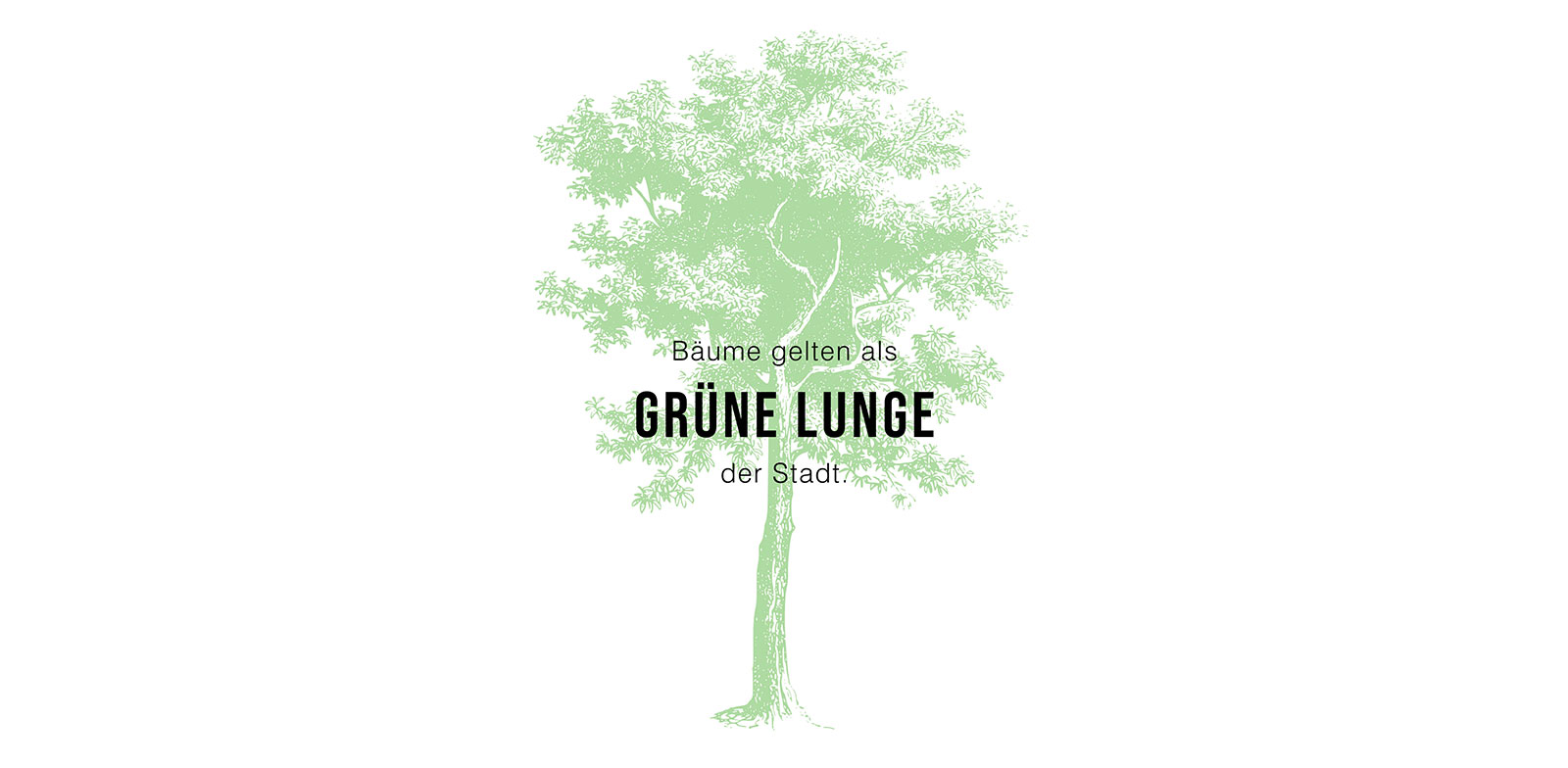 Baum_Grafik